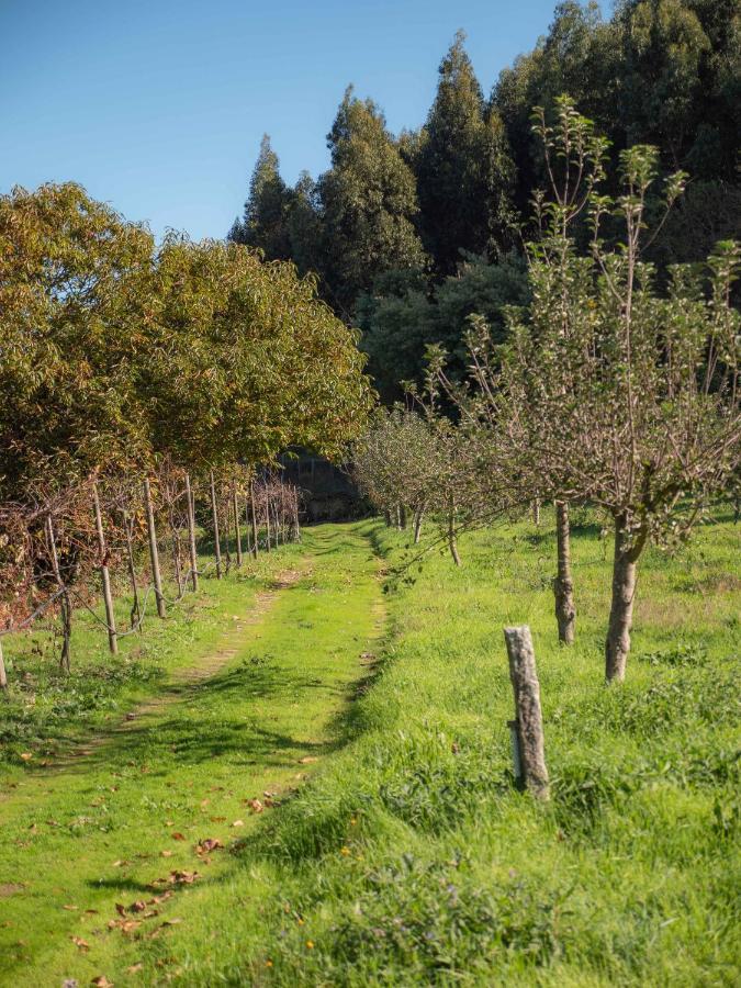 Naturena Agro-Turismo Pensionat Durrães Exteriör bild